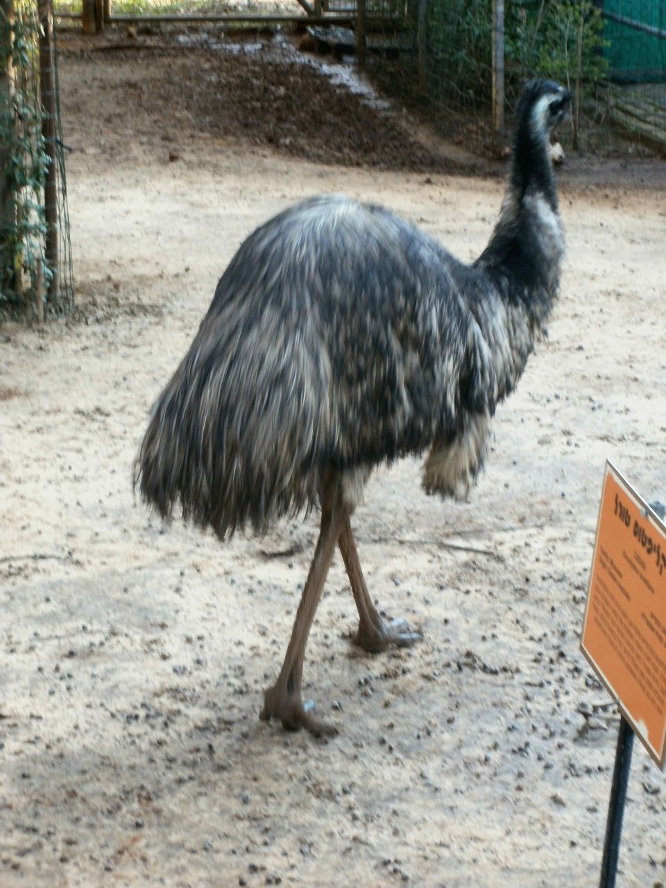 Татьяна Макушенко | Луганск