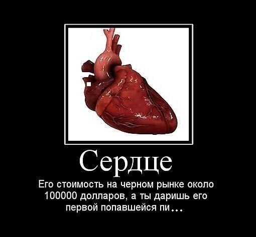 Андрей Казьмирович | Киев