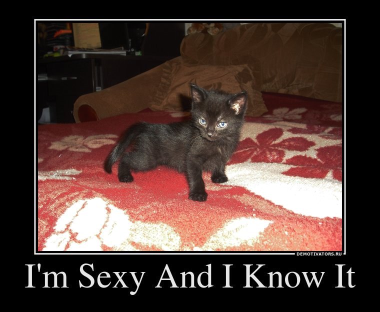 Виктор Дудин | Новосибирск