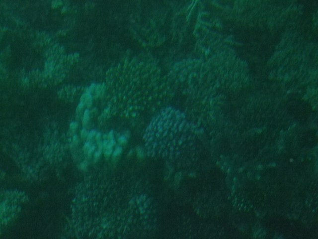 Сергей Кузнецов | Москва