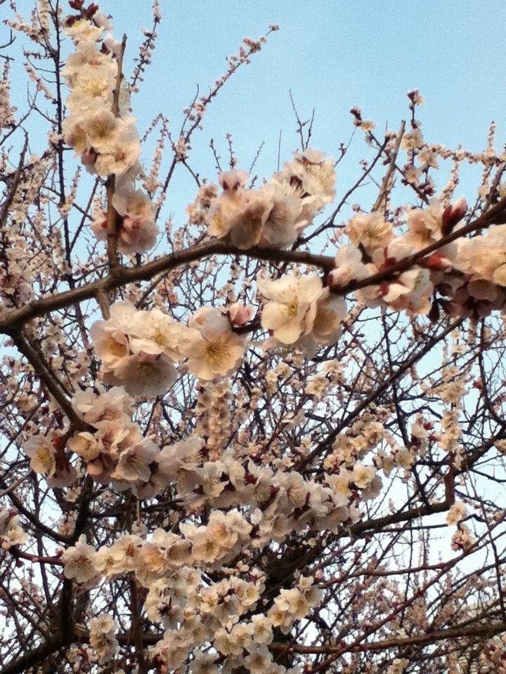 Константин Блиох | Харьков