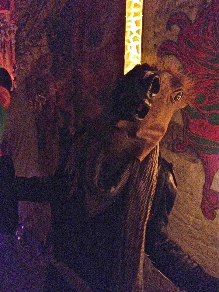 Поллитровая Мышь ¤ | New York City