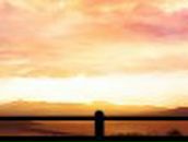 Надежда Ранжурова Kawaii Hito | 