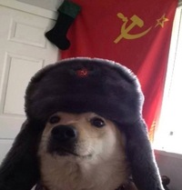 Данил Кексик