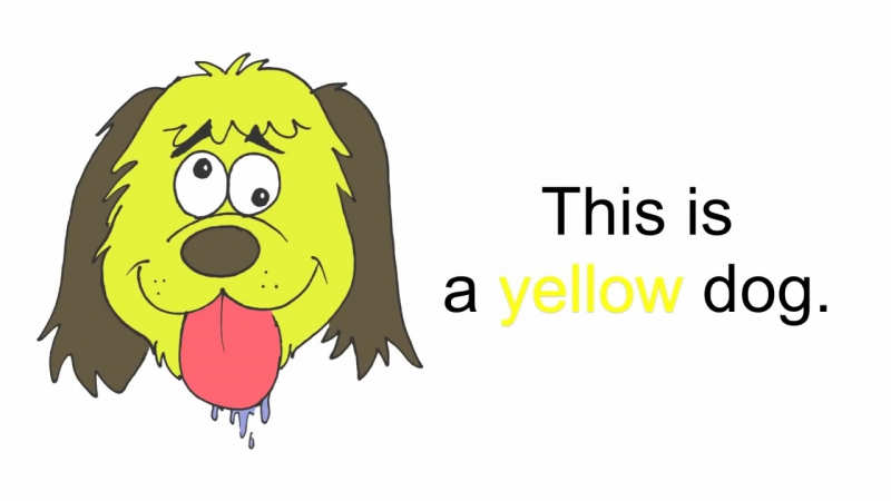 Animals