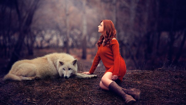 Китти Гроунд, Россия, Санкт-Петербург