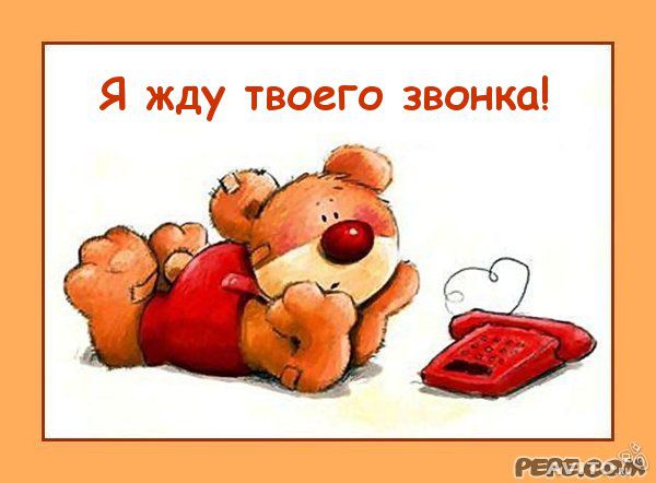 есть картинки с надписью я жду от тебя звонка овощных