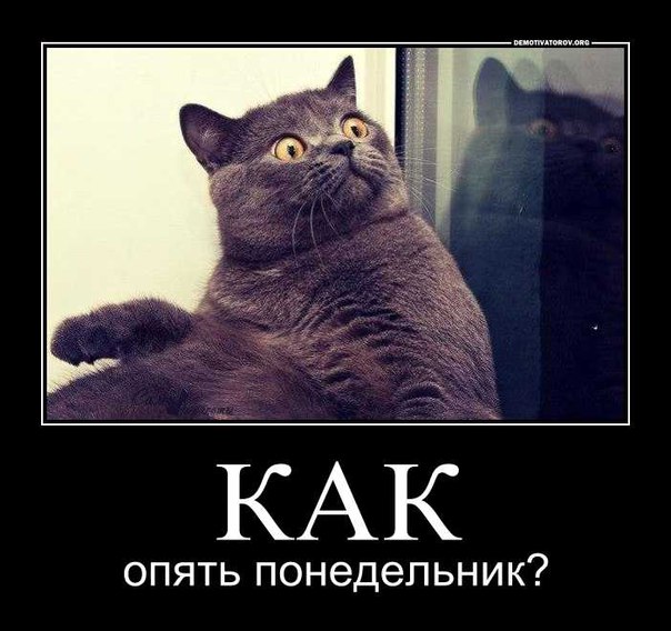 снова на работу картинки прикольные грунт, если