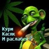 Аватар: Назар Бичковський