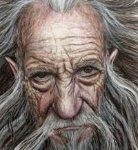 Сергей Бельтюков