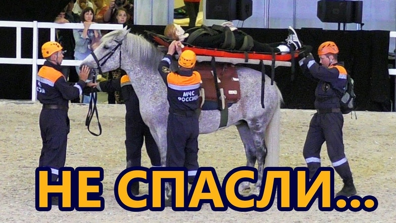 Никто не ожидал ТАКОГО финала спасательной операции,
