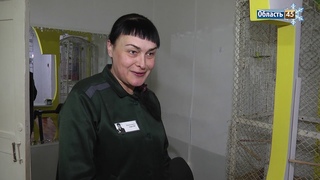 Осужденные курганской колонии ухаживают за канарейками и занимаются фитнесом