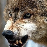 Саня Ушаков