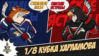 . Стальные Лисы  Омские Ястребы | (Кубок Харламова, 1/8 финала)  Прямая трансляция
