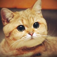 Людмила Емельянова