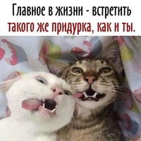 Анна Медведева