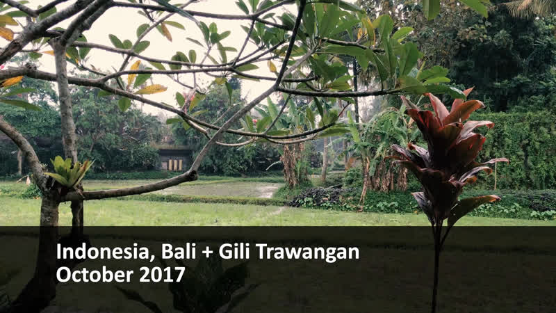 Indonesia, Bali + Gili