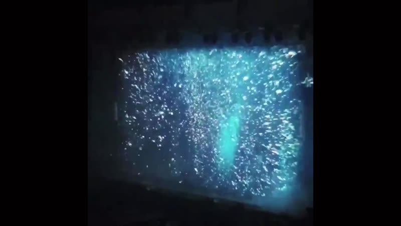 OPENING VCR nct dream, , the dream show d