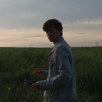 Андрей Никулин