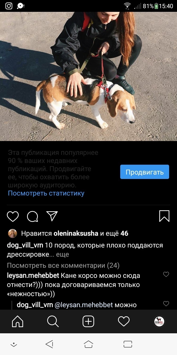 Кейс: продвижение стартапа по выгулу собак, изображение №5