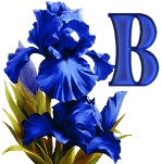 синий ирис алфавит, image #2