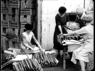 Glass-House Girls!  A Cheshunt Story (1931)