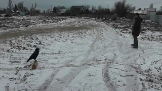 команда “Место“ в исполнении вОрона