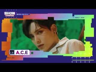 showchampion1