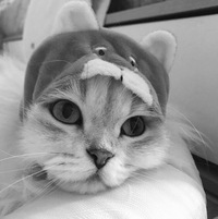 Юлия Матвеева