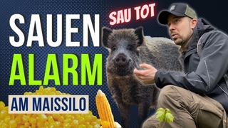 Sauenalarm am Maissilo! Ob das klappt | Der Jungjgerguide