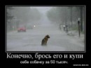 Фотография Эвелина Балуева
