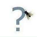 Андрій Харечко | Киев