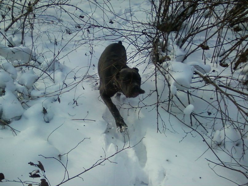 Люсьена Свободная | Москва