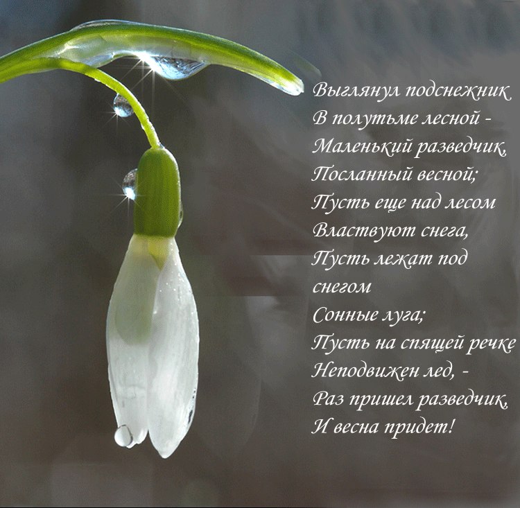 Svetlana Lampinen-Sidorenko °~•♥ஜ♥•~° | Mikkeli