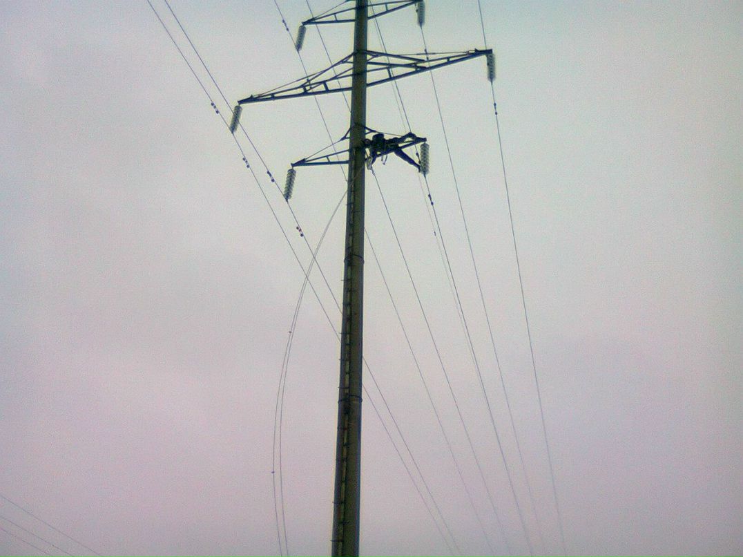 Виктор Граф | Кострома