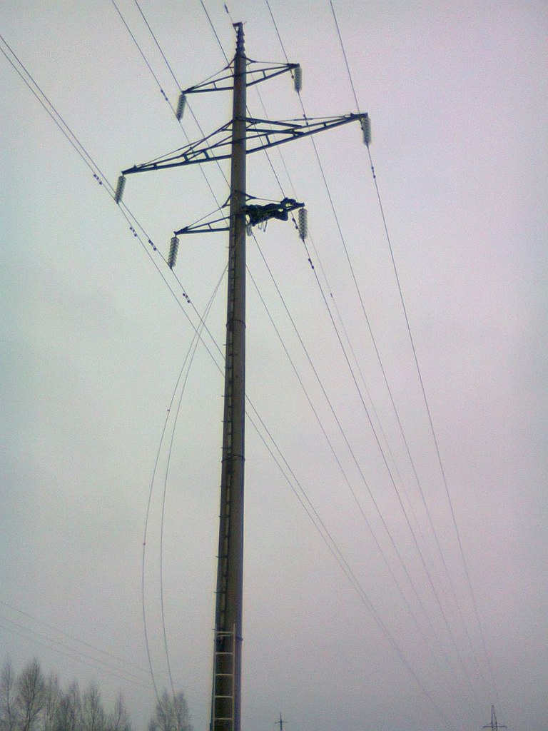 Виктор Граф | Кострома