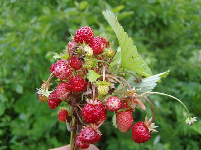 Татьяна Мишина | Санкт-Петербург