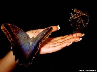 Виктория Георгиева | Одесса