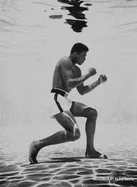 Umar Sultanov | Бамут