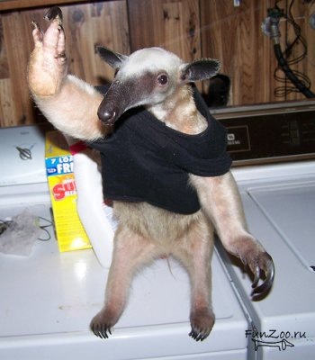 №34, Сергей Анатольевич №34, Сергей Анатольевич