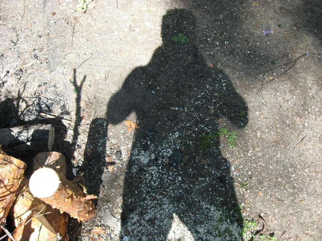 Олег Левин | Санкт-Петербург