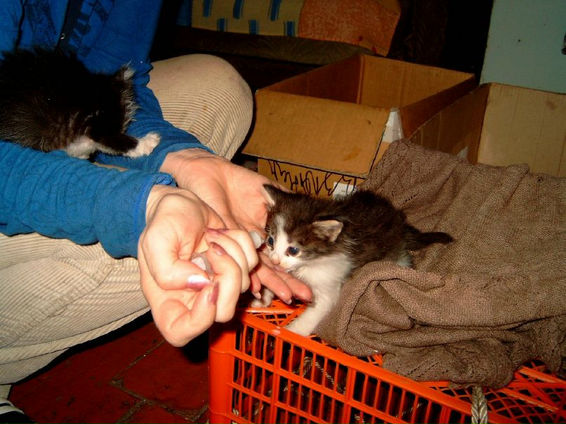 Olga Odintsova ViP-------=- | Красноярск