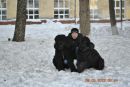Фотография Сергей Архипенко