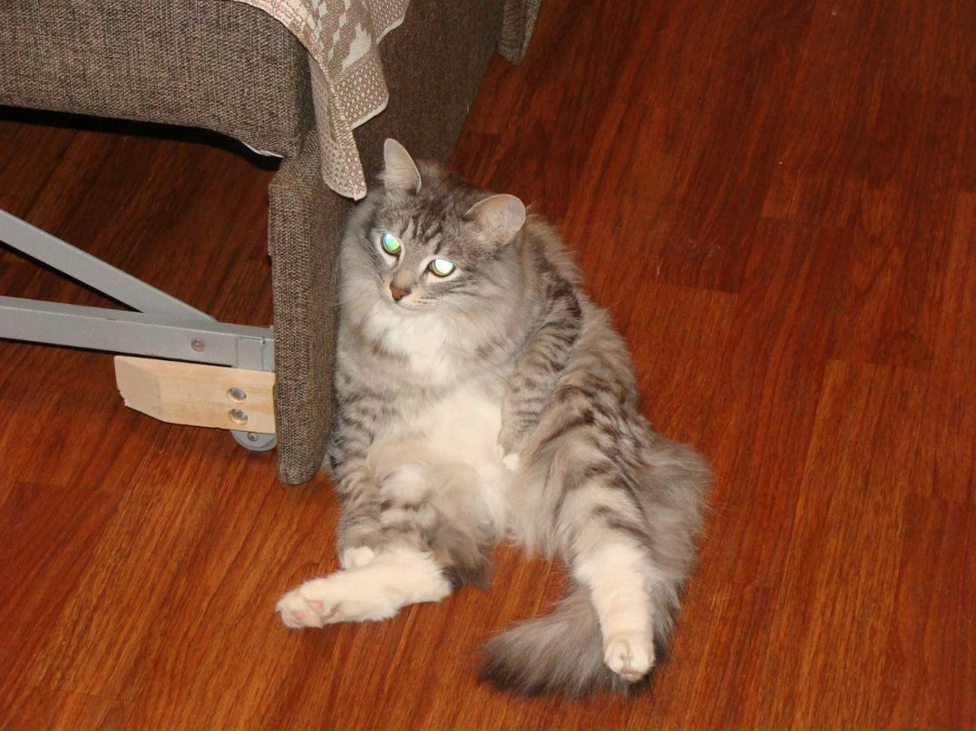 Олег Тибетский | Пермь