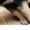 №16, Ольга Колесникова, Серов №16, Ольга Колесникова, Серов