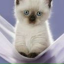 Tania Erg | Херсон