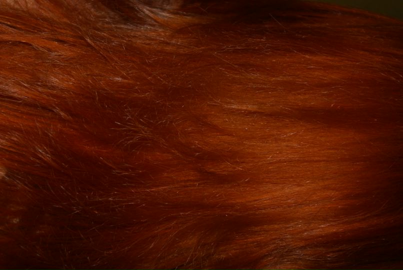 Элеонора Ильина Эльф | 