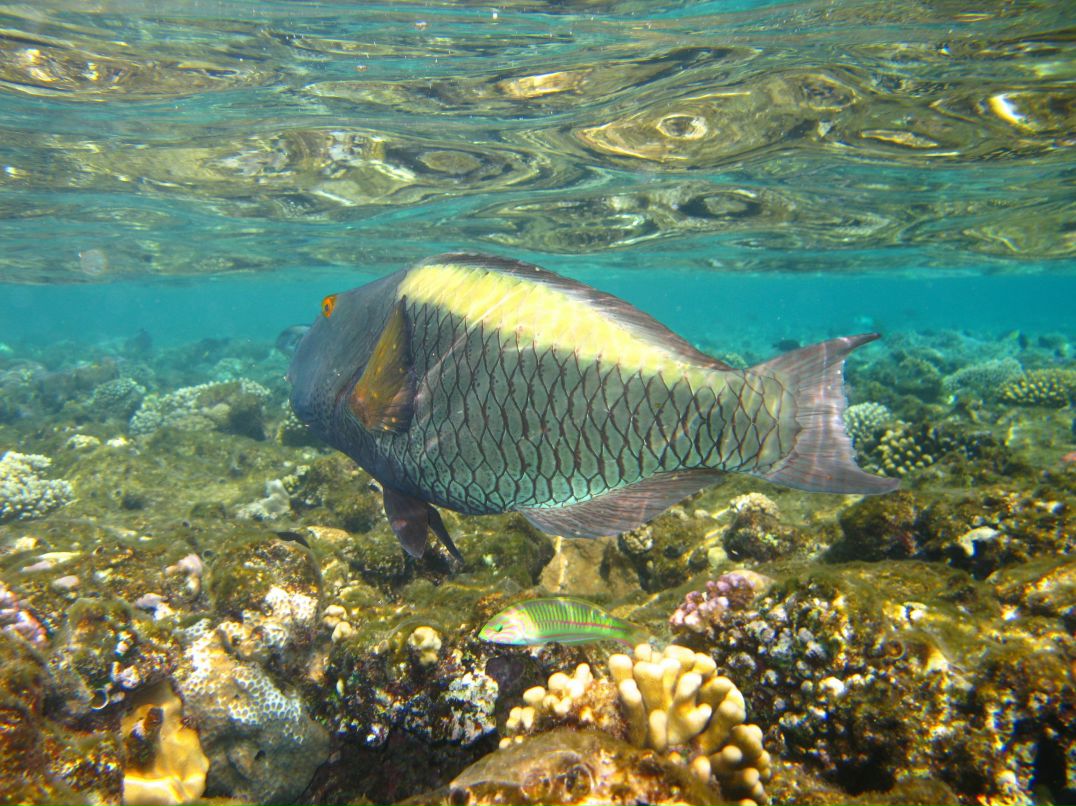 Марина Васильева | Киев
