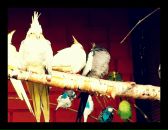 №4 Михаил Уваров 29.04.1988: профиль, фото, статус - ВКонтакте №4 Михаил Уваров 29.04.1988: профиль, фото, статус - ВКонтакте