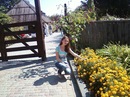 Фотография Голуб Кати